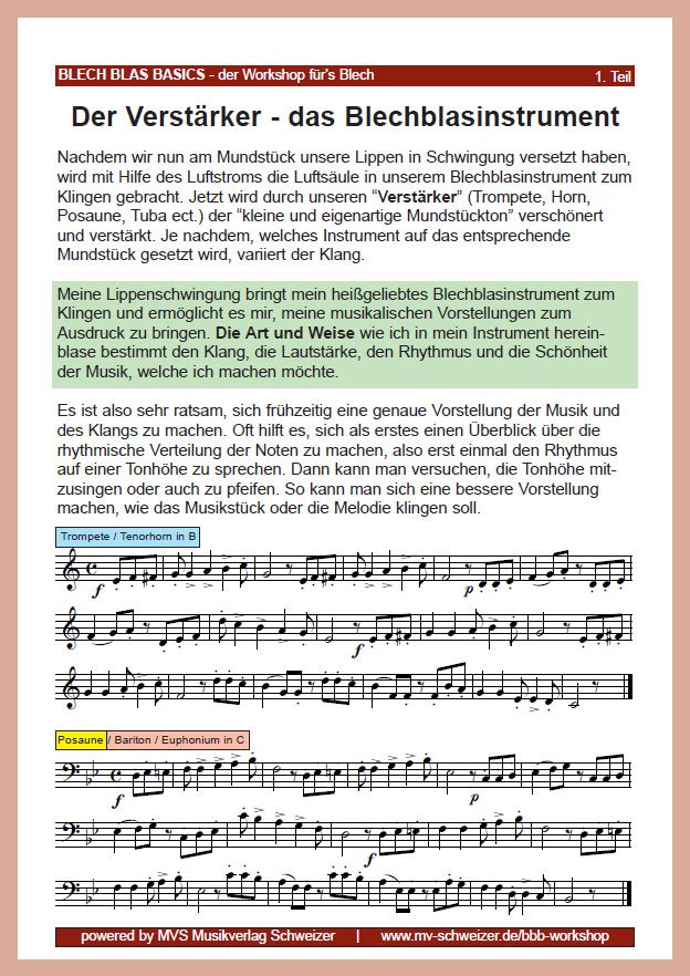 1. Teil: Der Verstärker